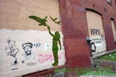Graffitis ecológicos 3