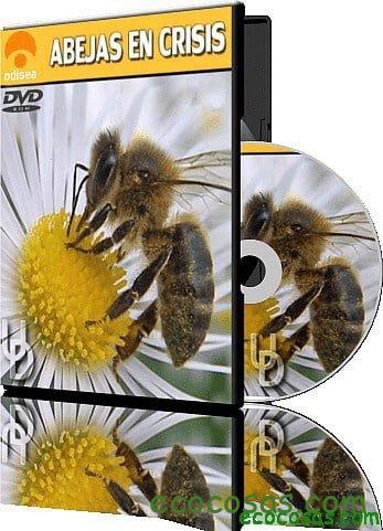 Abejas en crisis (Documental) 1