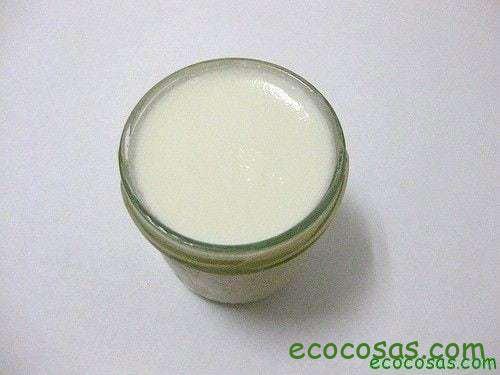 yogurcasero Yogur hecho en casa, barato, saludable y ecológico 1
