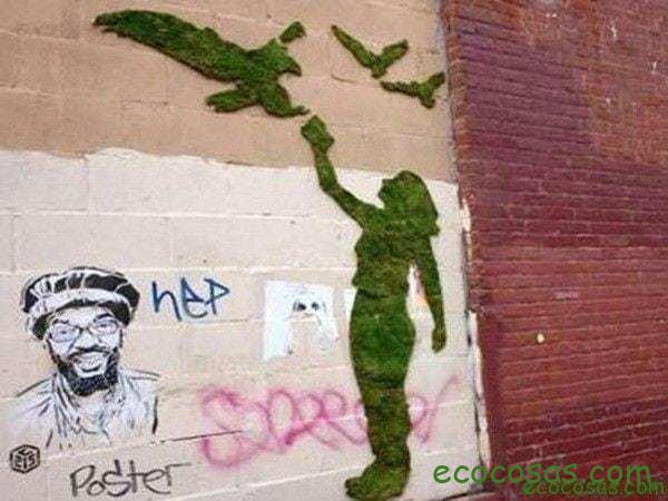 Haz tu propio graffiti de musgo 6