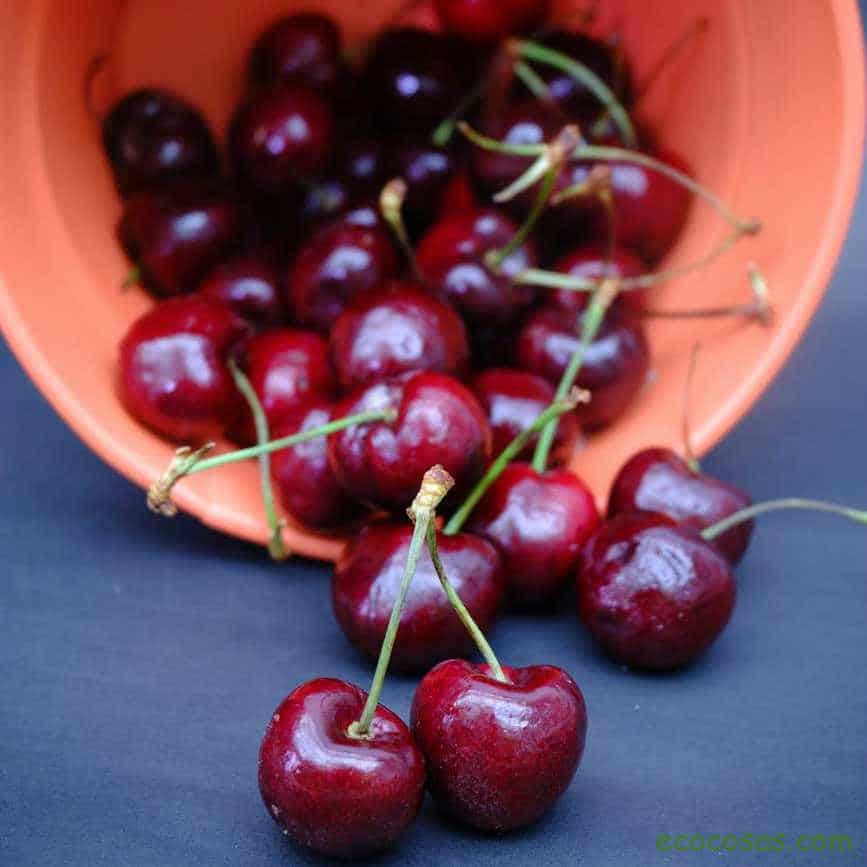 cherries are fattening