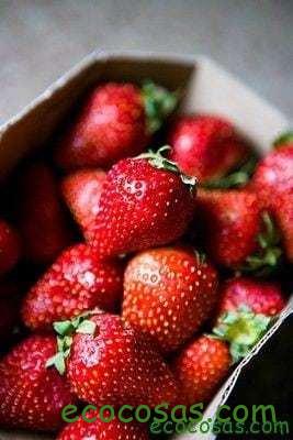 properties of strawberries