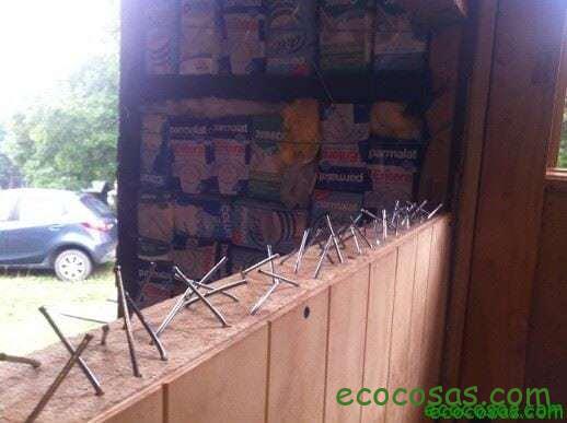 Paredes con botellas de vidrio 7 IMG_1295_ecocosas