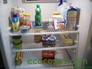 Tips para conseguir eficiencia energética en el hogar 1 nevera