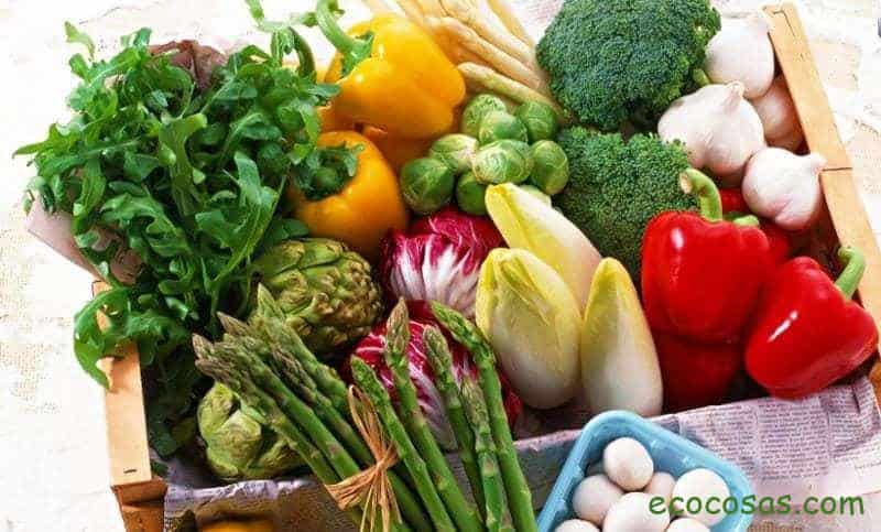 Dieta vegetariana: Cómo lograr la mejor nutrición posible 1