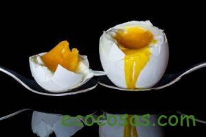 Alimentación Evolutiva ¿Ya sabes lo que es? 1