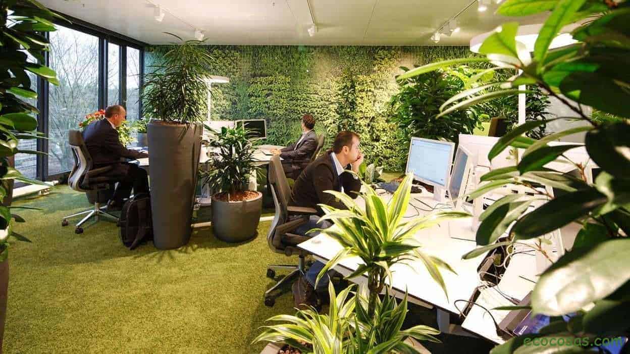 10 ideas ecológicas para implementar en tu lugar de trabajo 1