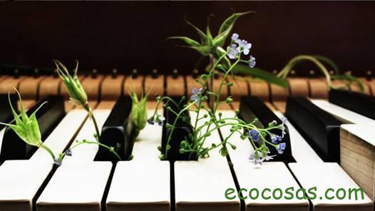 La música y las plantas