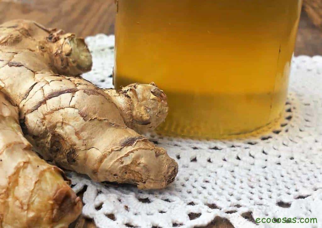 Cómo hacer Ginger Ale casero y natural 1 Cómo hacer Ginger Ale casero y natural 1