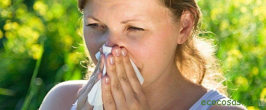 antihistaminicos naturales