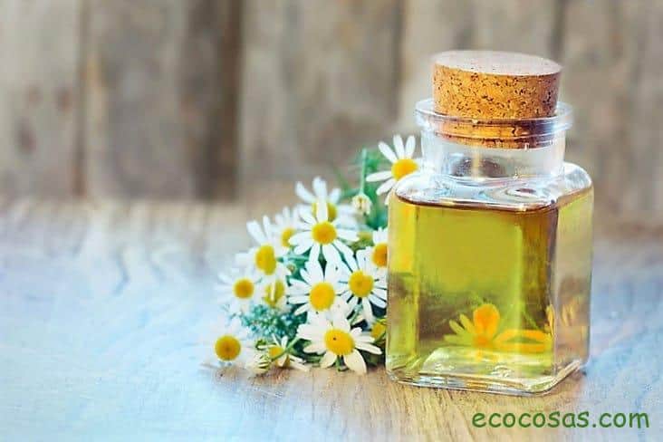 Oleatos de hierbas o flores, Qué son, Cómo prepararlos y utilizarlos 1 oleatos